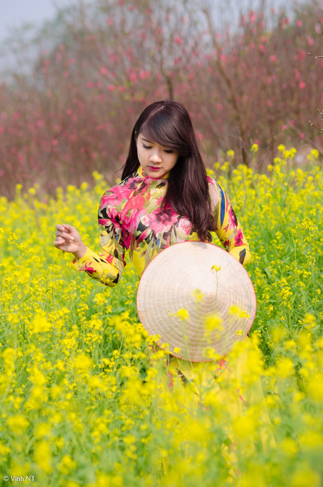 七仙女欲春5一級(jí)裸片在線觀看
