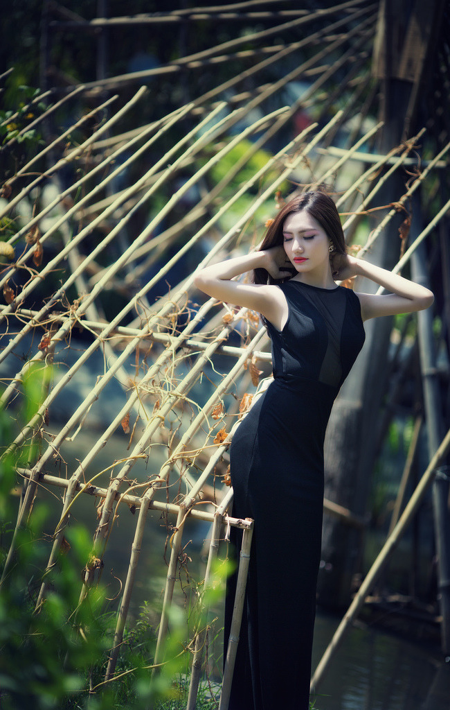 雙妻艷史電影